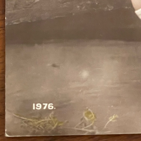 RARE VINTAGE 20th Century Postcard Teddy Bear - Picture 3 of 7